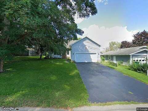 Shadbush, WEST HENRIETTA, NY 14586