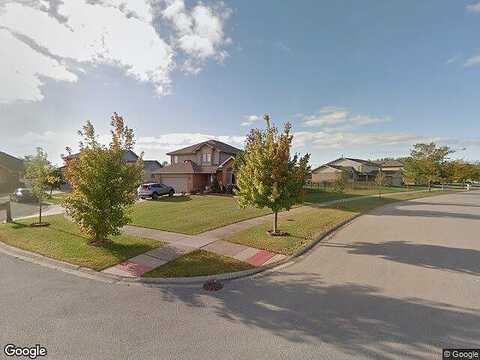 Westfield, TINLEY PARK, IL 60487