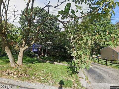 Stag, GIBSONIA, PA 15044