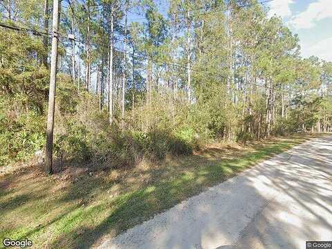 Fireweed, MIDDLEBURG, FL 32068