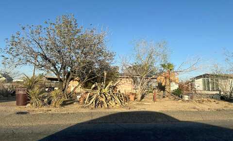 Lupine, TWENTYNINE PALMS, CA 92277