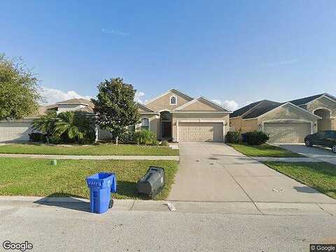 Blue Beech, RIVERVIEW, FL 33578