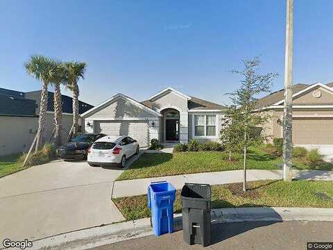 Blue Beech, RIVERVIEW, FL 33578