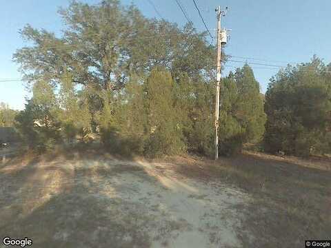 Willow, YOUNGSTOWN, FL 32466