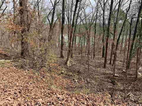 Lot 61 Lower Ridge Circle, Edgemont, AR 72044