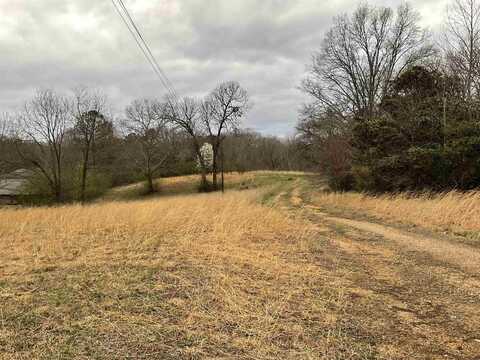 387 Old Huntingdon Street, Lexington, TN 38351