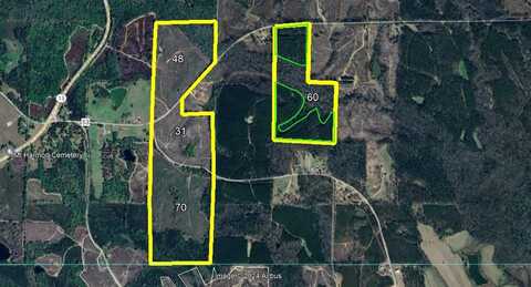 4360 County Road #53, Banks, AL, AL 36005