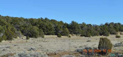 TBD SIERRA DE MANANA Drive, CANDY KITCHEN, NM 87321