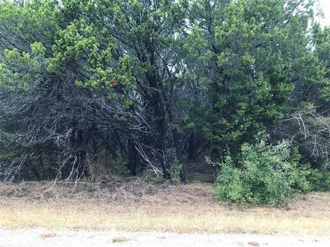 25060 Southhill Drive, Whitney, TX 76692