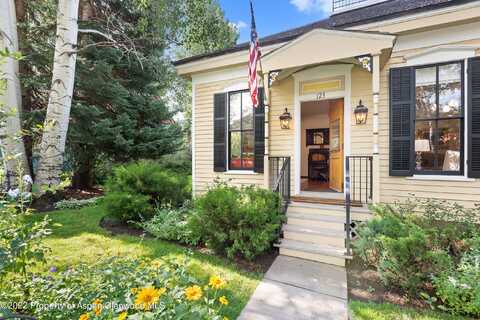 123 E Hallam Street, Aspen, CO 81611