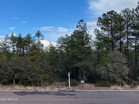 1675 S PLEASANT VIEW Drive, Show Low, AZ 85901