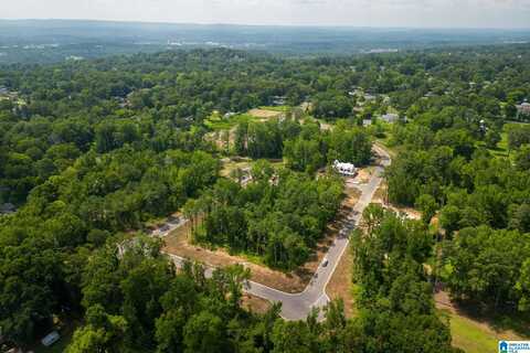 3321 CHANDLER WAY, HOOVER, AL 35226