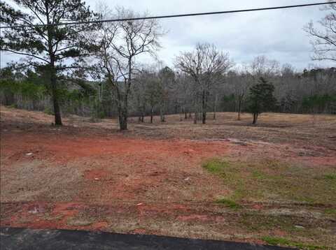 Lot 10 YOUNG LANE, HAMILTON, GA 31811