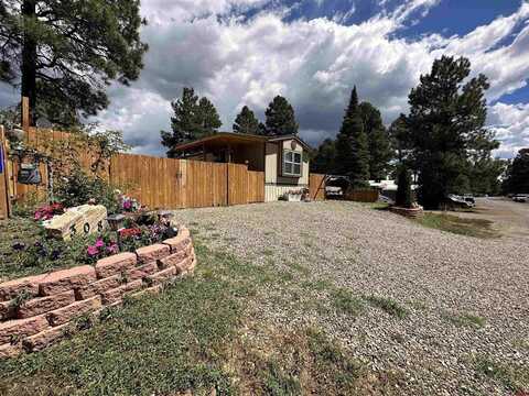 308 Canyon Circle, Pagosa Springs, CO 81147