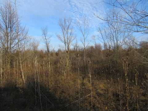 0-lot 11 Grant Street, Merrillville, IN 46410