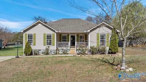 101 Jones Drive, Grant, AL 35747