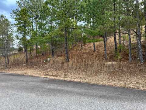 Lot 39 Pinehurst, Blairsville, GA 30512