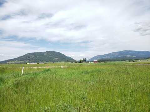 2088 RINGNECK LOOP, COLVILLE, WA 99114