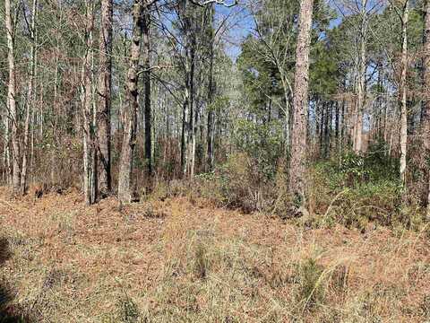 TBD Florence Ln., Kingstree, SC 29556