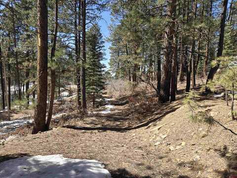 Lot 9 Groves Drive, Durango, CO 81301