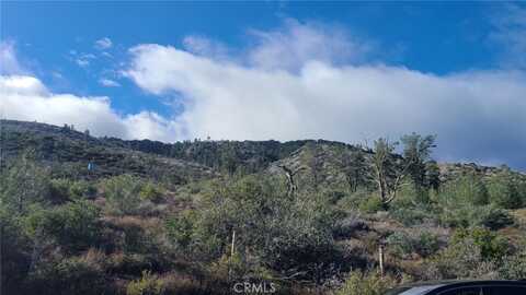 0 Vac/Pine Canyon Pav /Vic 290 S, Gorman, CA 93532