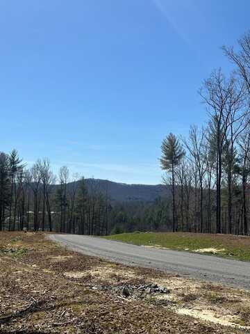 Split Creek Road, Morganton, GA 30560