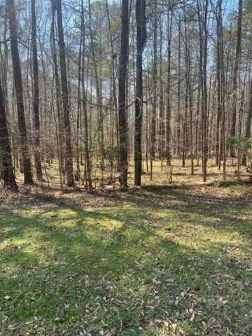 Lot 11 Peter Carnes Drive, North Augusta, SC 29860