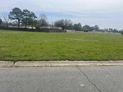 Lot 2 Haleigh Drive, Stuttgart, AR 72160