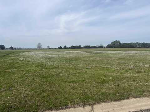 Lot 87 Haleigh Drive, Stuttgart, AR 72160