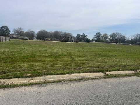 Lot 111 Jimmie, Stuttgart, AR 72160