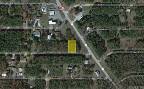 Lot 55 Somonauk Drive, Lead Hill, AR 72644