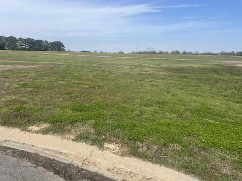 Lot 80 Earl Court, Stuttgart, AR 72160