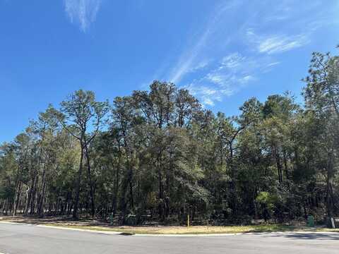 321 Gazelle Court, Niceville, FL 32578