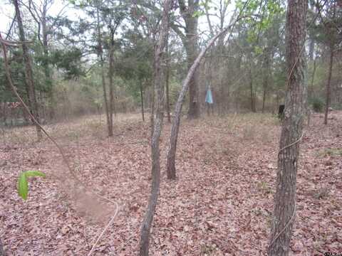 tbd Broad Meadow, Murchison, TX 75778