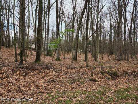 Lot 4, 5 Cougar Drive, White Haven, PA 18661