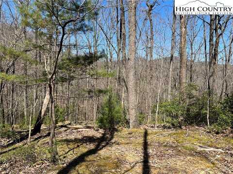 Lot 208-r Bauers Lane, Deep Gap, NC 28618