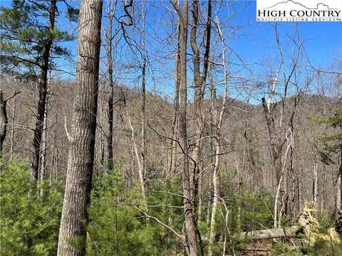 Lot 304 Sleepy Creek Trail, Deep Gap, NC 28618