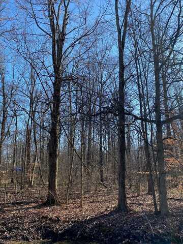 7326 State Route 19, Unit 6, Lot 12, Mount Gilead, OH 43338