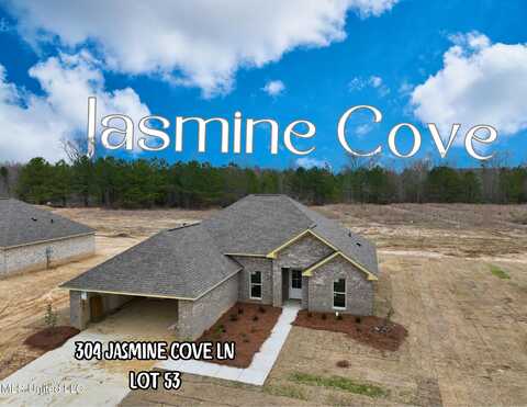 304 Jasmine Cove Lane, Brandon, MS 39042