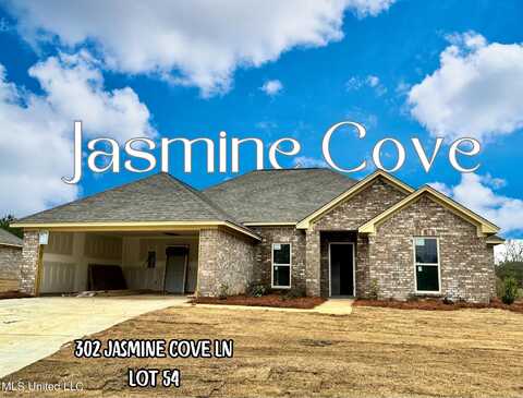 302 Jasmine Cove Lane, Brandon, MS 39042