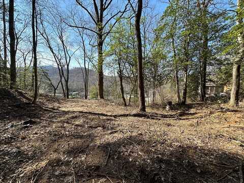 0 Ela Rd, BRYSON CITY, NC 28713