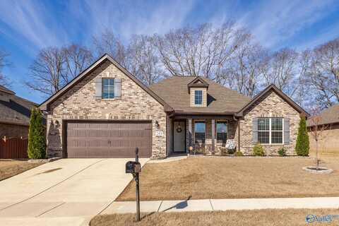 243 Dustin Lane, Madison, AL 35757