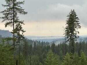 4684 LOT F GROUSE CREEK RD, CHEWELAH, WA 99109