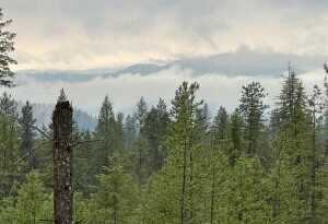 4684 LOT B GROUSE CREEK RD, CHEWELAH, WA 99109