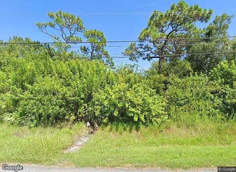 Pine Cone, MELBOURNE, FL 32934