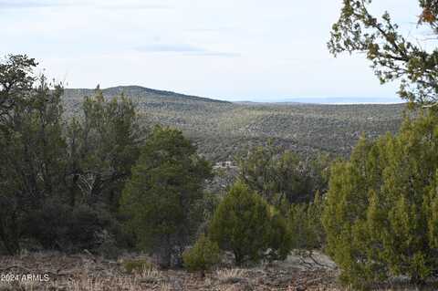 01 N Edge Ridge Road, Seligman, AZ 86337