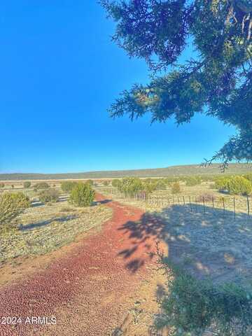 33900 W GREAT HORNED Trail, Seligman, AZ 86337