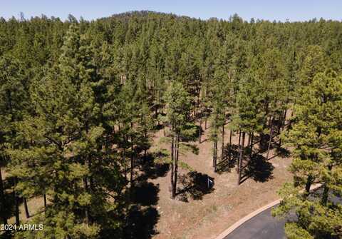 9586 SIERRA SPRINGS Way, Pinetop, AZ 85935