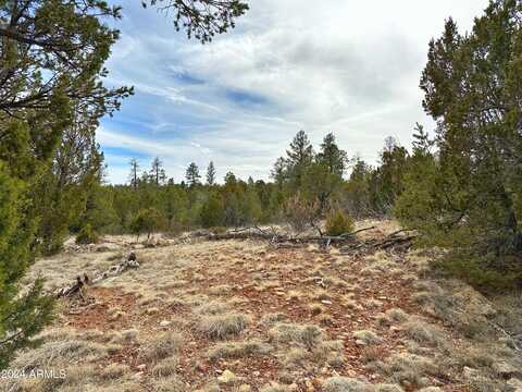 1787 EAGLES NEST Road, Heber, AZ 85928