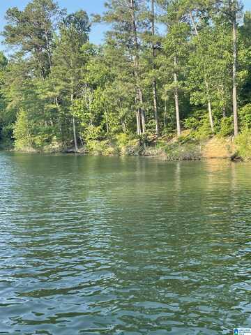 Lot 6 STILLWATER COVE, DOUBLE SPRINGS, AL 35553